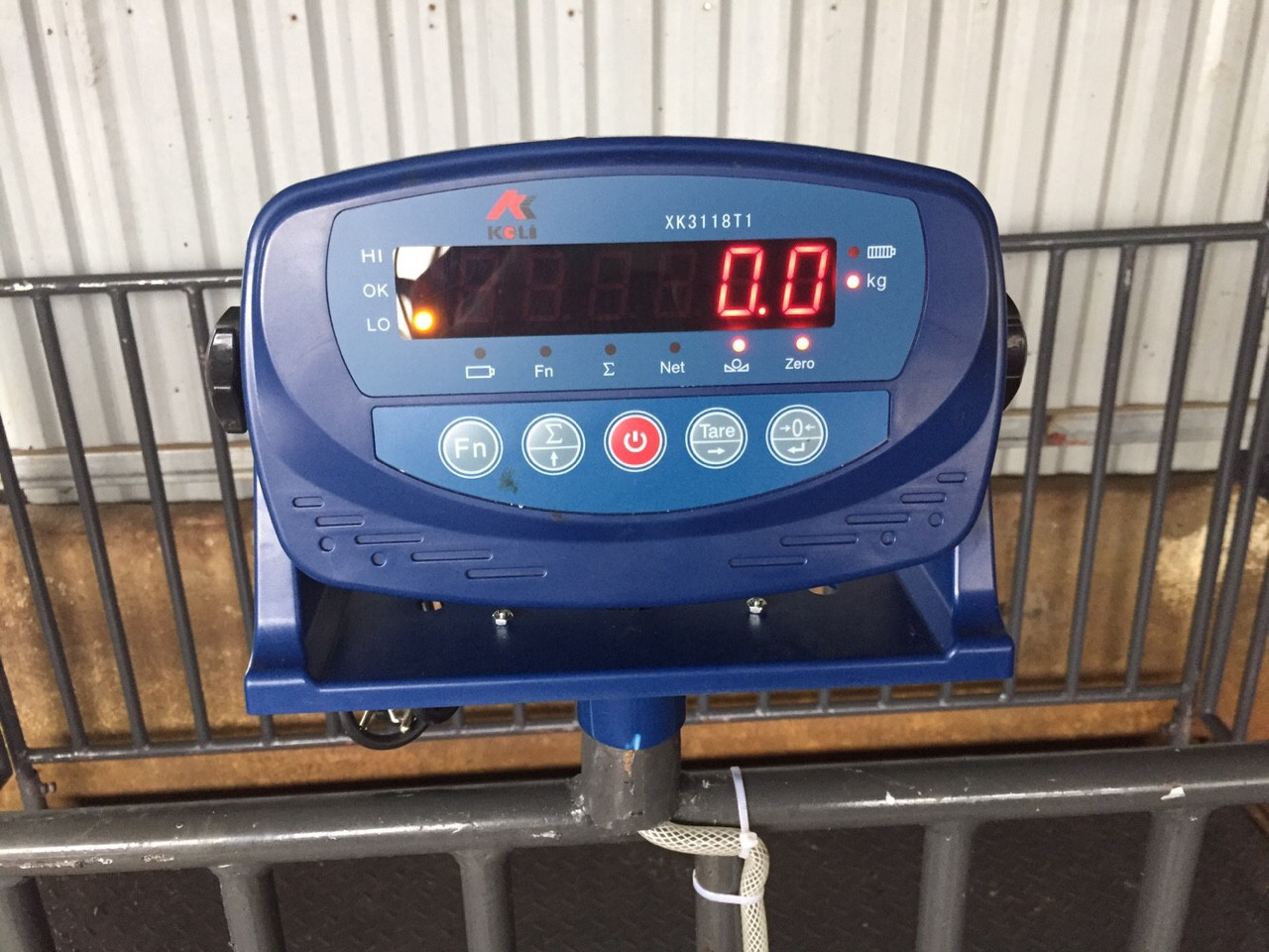 Cân bàn điện tử lồng heo từ 500Kg – 5000Kg